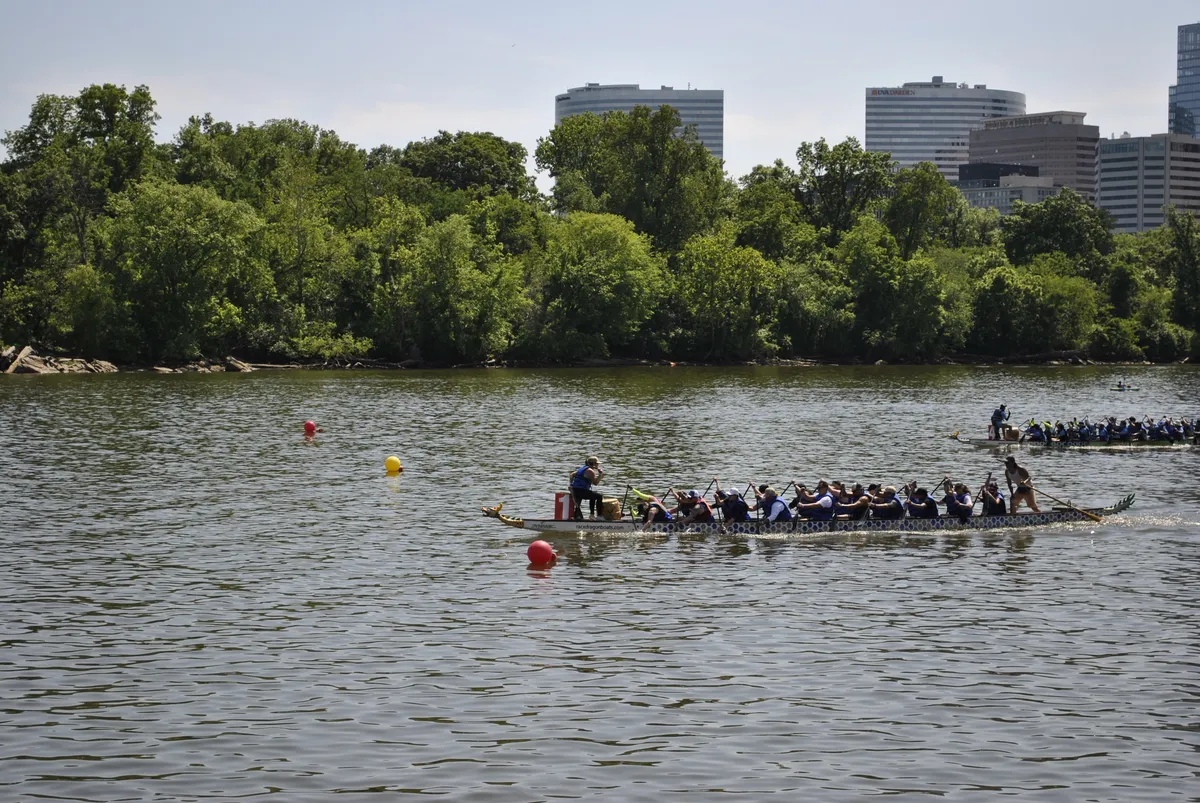 DC Dragon Boat Festival at Georgetown Waterfront Park